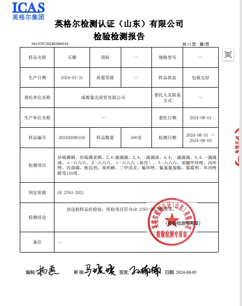 成都象北软籽石榴检测报告P3