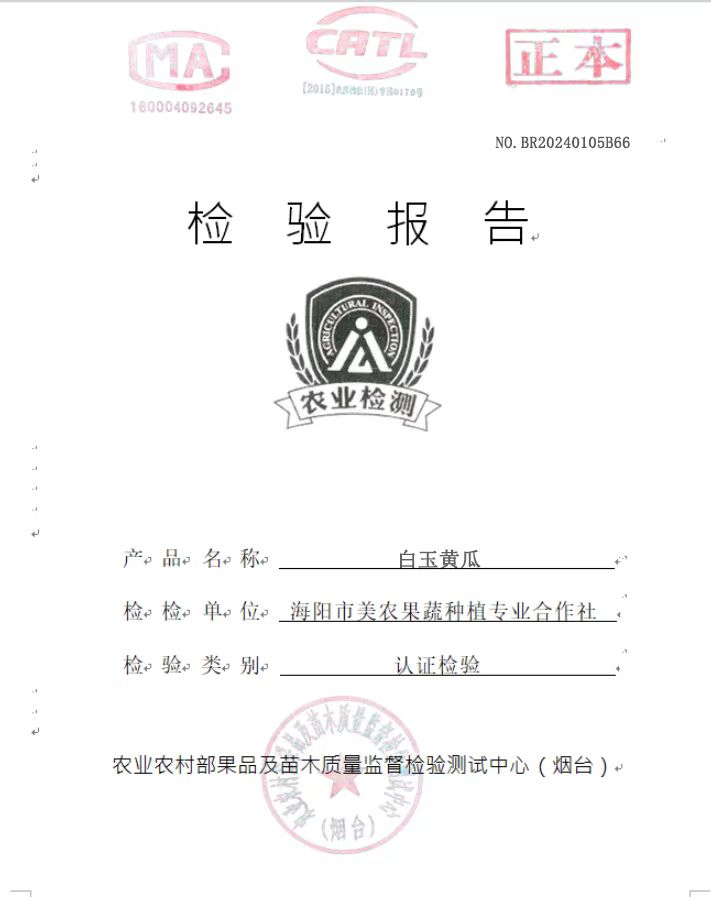 海阳美农白玉黄瓜检测报告P1