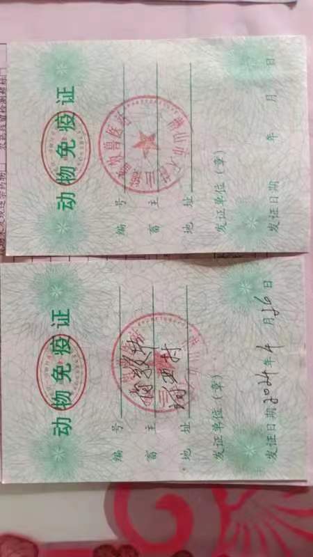 锦山农场动物免疫证