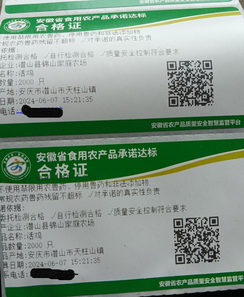 锦山农场活鸡合格证