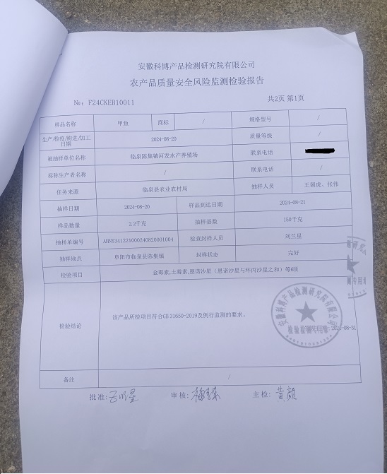 临泉陈集甲鱼检测报告P3