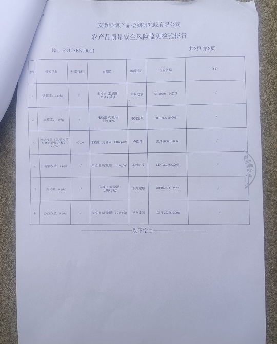 临泉陈集甲鱼检测报告P4