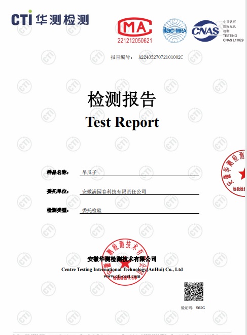满园春吊瓜子检测报告P1