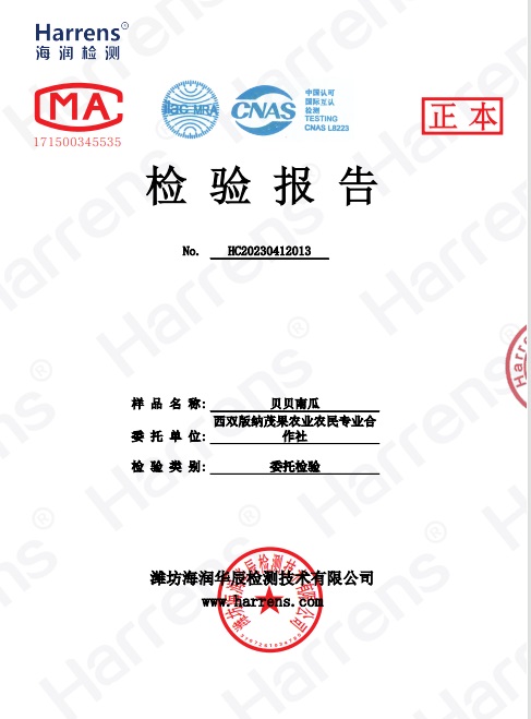 西双版纳茂果贝贝南瓜检测报告P2