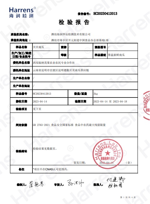 西双版纳茂果贝贝南瓜检测报告P3