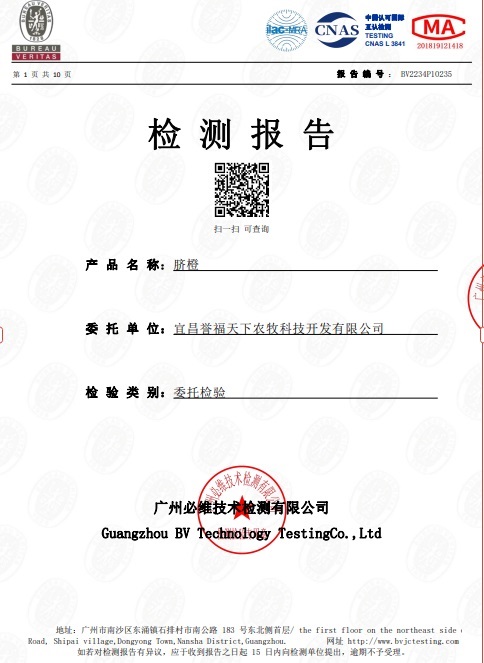 宜昌誉福天下纽荷尔脐橙检测报告P1