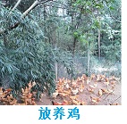推荐精品1
