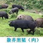 推荐精品3