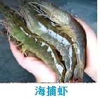 推荐精品4