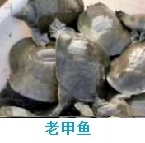 推荐精品5