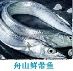 推荐精品6