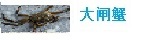 看护通各项服务介绍