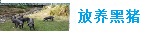 看护通功能视频展示
